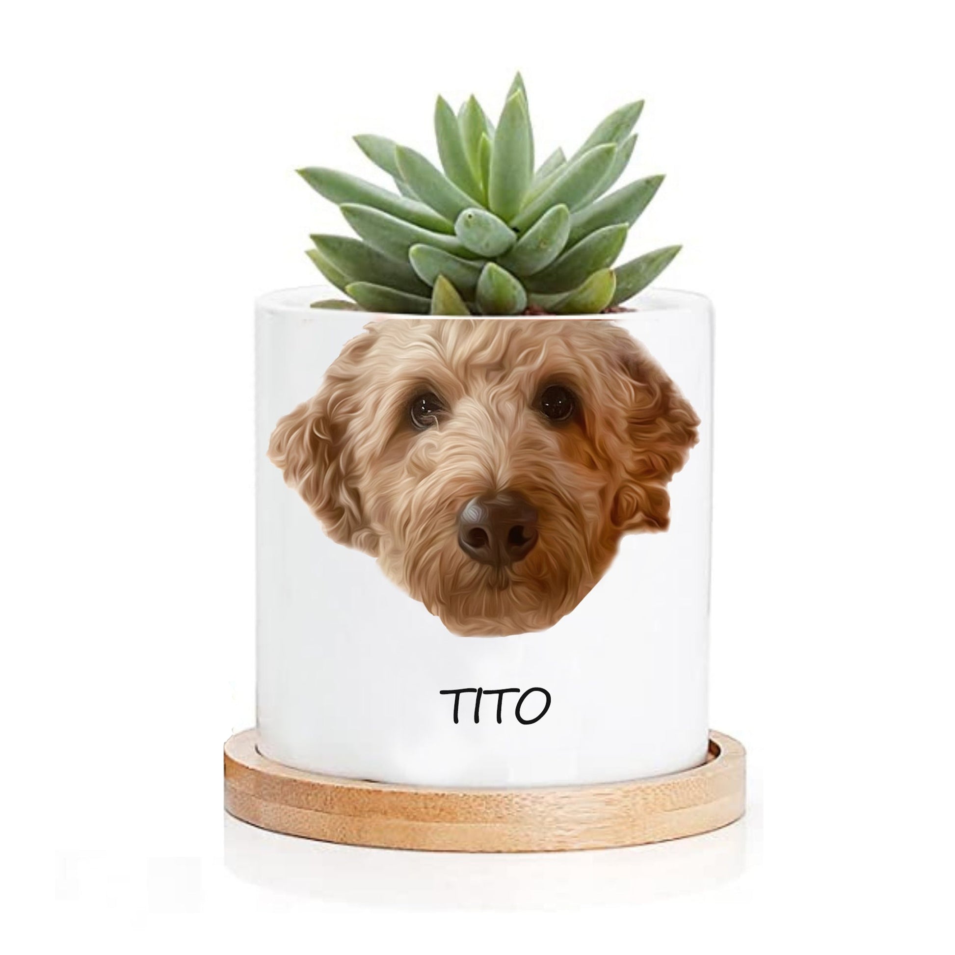 Personalized Character Plant Pot - Personalized Memories