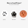 Personalized Paw Print Portrait - Personalized Memories